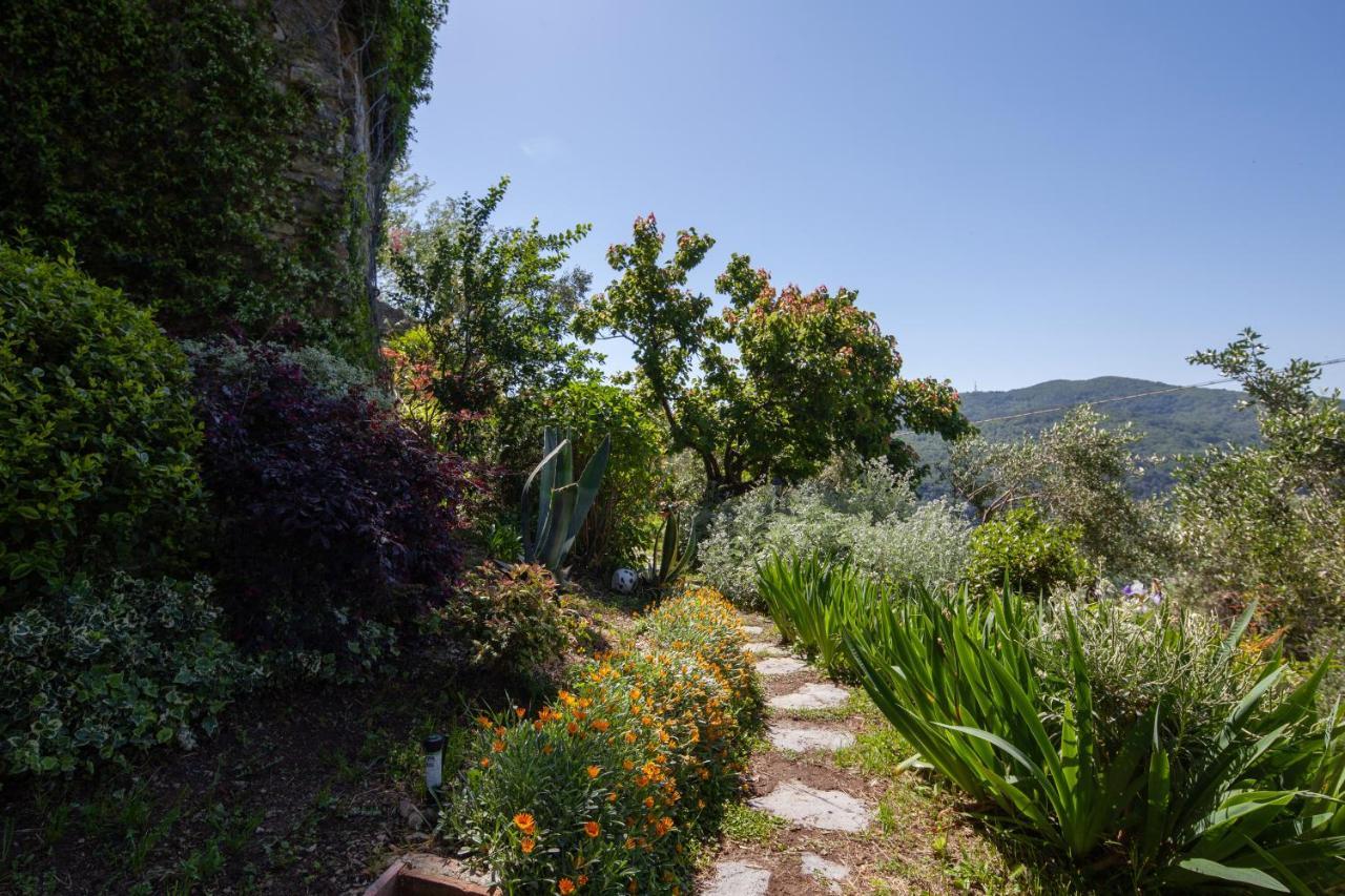 Pietrantica - Affittacamere Con Giardino Nuova Apertura A Trebiano -Citr Экстерьер фото