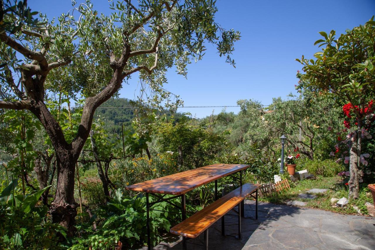 Pietrantica - Affittacamere Con Giardino Nuova Apertura A Trebiano -Citr Экстерьер фото