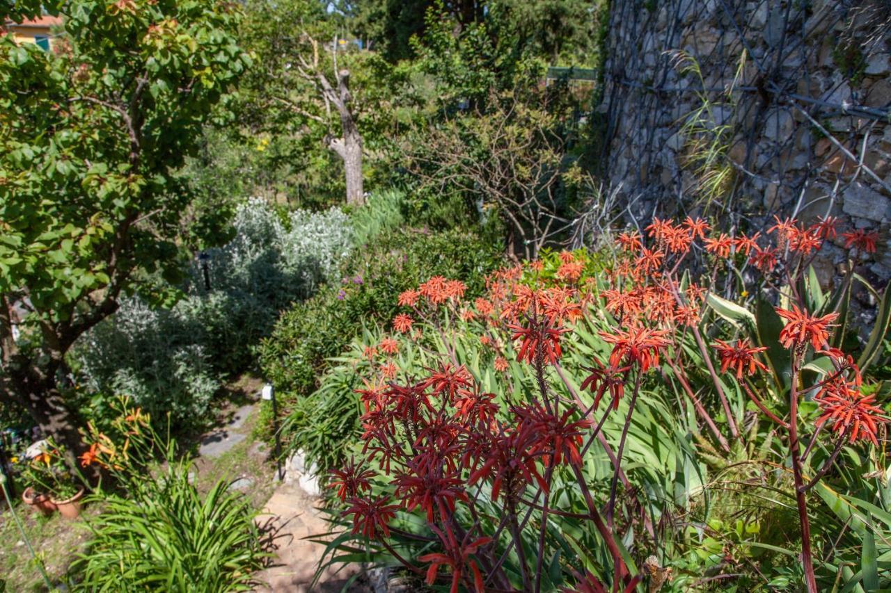 Pietrantica - Affittacamere Con Giardino Nuova Apertura A Trebiano -Citr Экстерьер фото