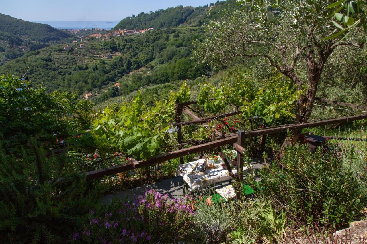 Pietrantica - Affittacamere Con Giardino Nuova Apertura A Trebiano -Citr Экстерьер фото